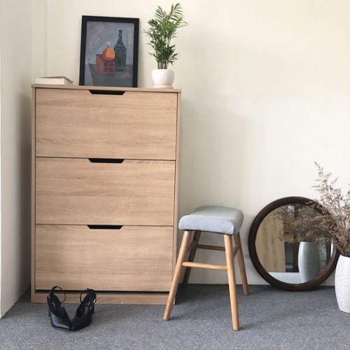 Tủ Đựng Giày Thông Minh 2019